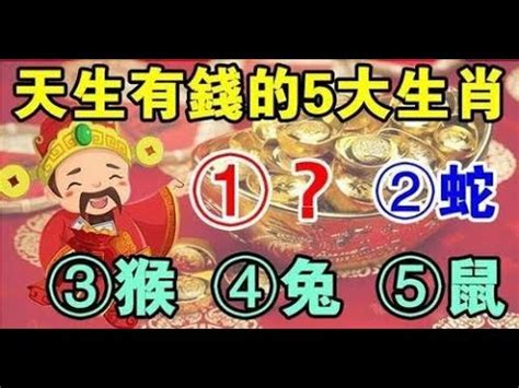 生肖房屋坐向|十二生肖宅運大公開